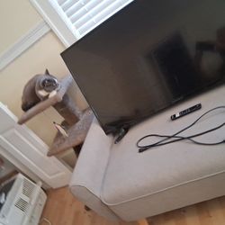 4k Amazon Insignia Fire Tv