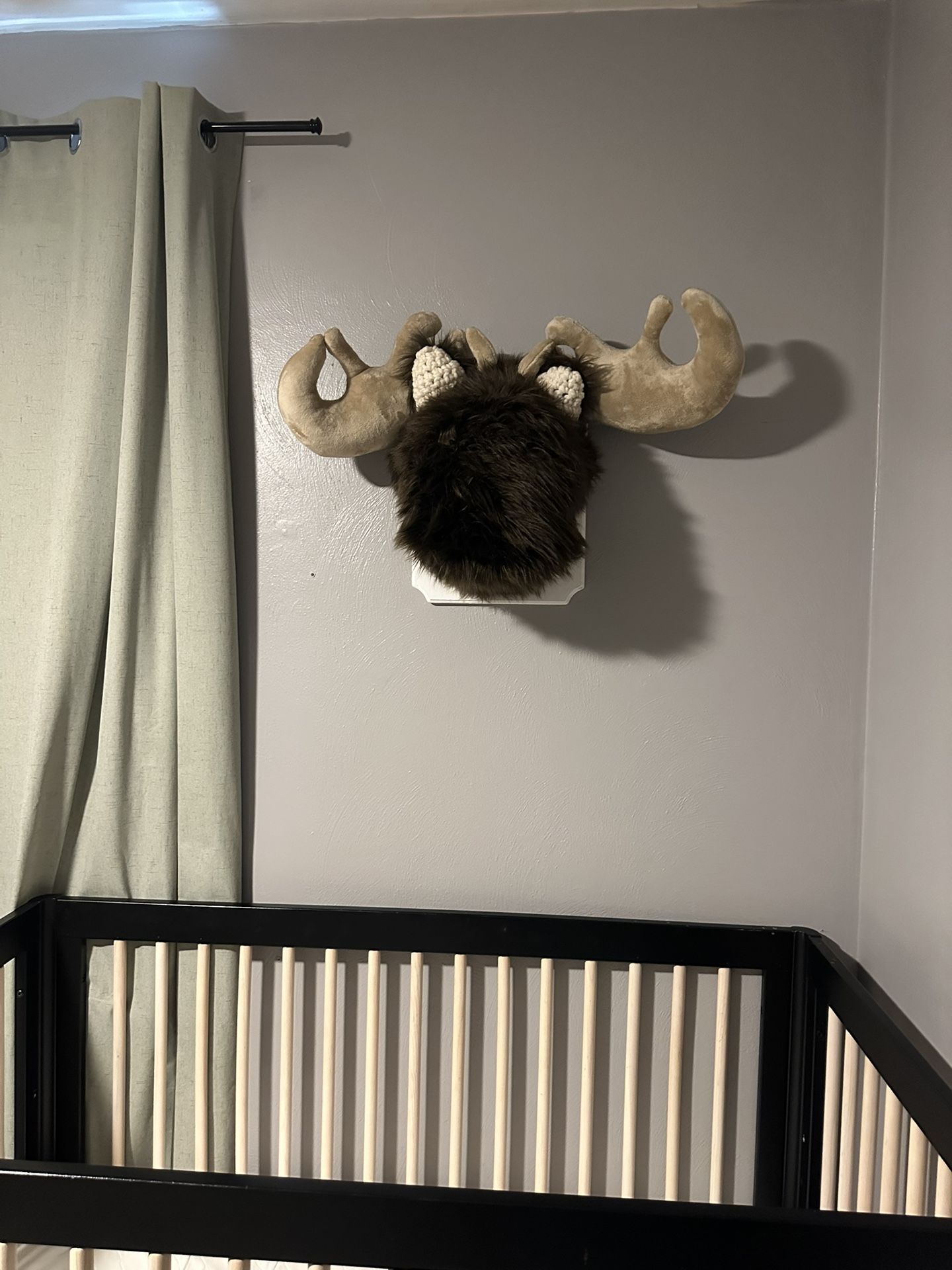 Kids Moose Head