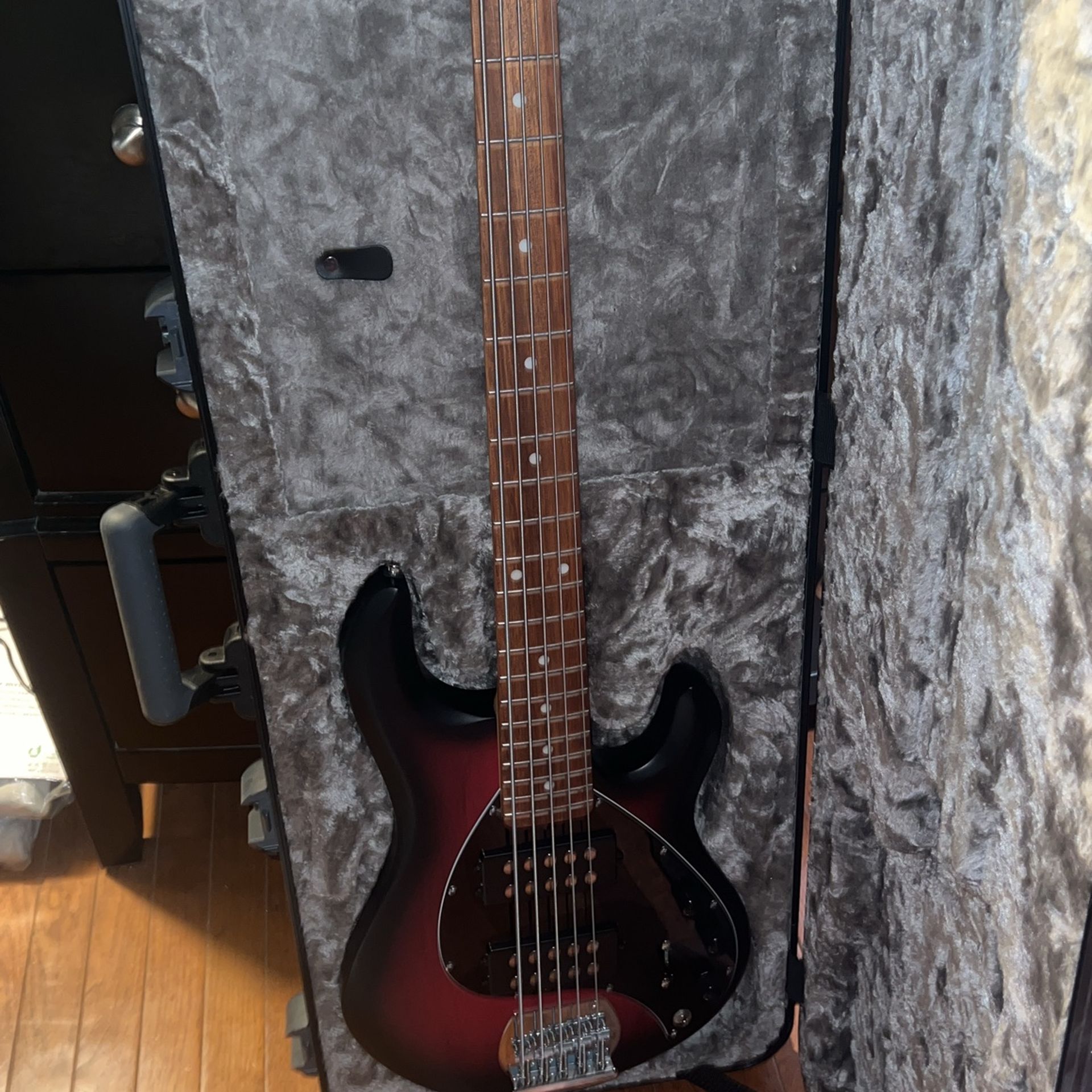 Five String Bass Guitar Stingray, Music Man