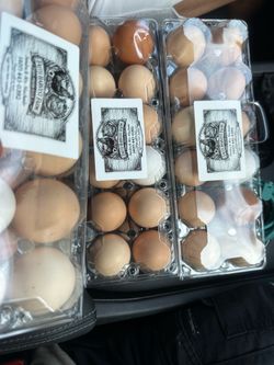 $5 Dozen Text number in LABEL LOCATED on SR44/15A 32720 near Church FRESH FARM ORGANIC