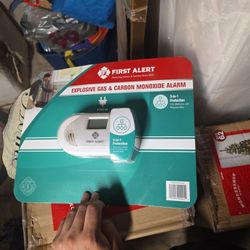 Explosive gas And Carbon Monoxide Alarm