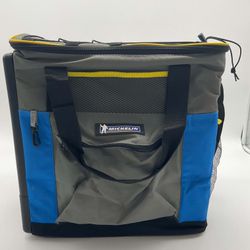Michelin Hybrid Portable 14L Cooler Warmer 110V AC 12V DC - P14M