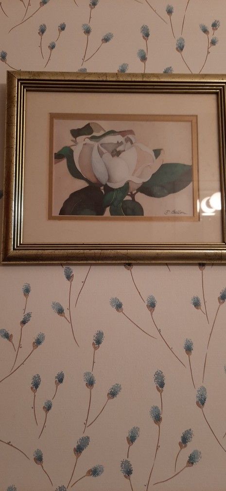 Framed Magnolia picture
by C Bellou.