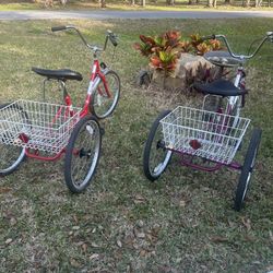 2 Adult Tricycles Sun Brand New $ 650 Will Split 