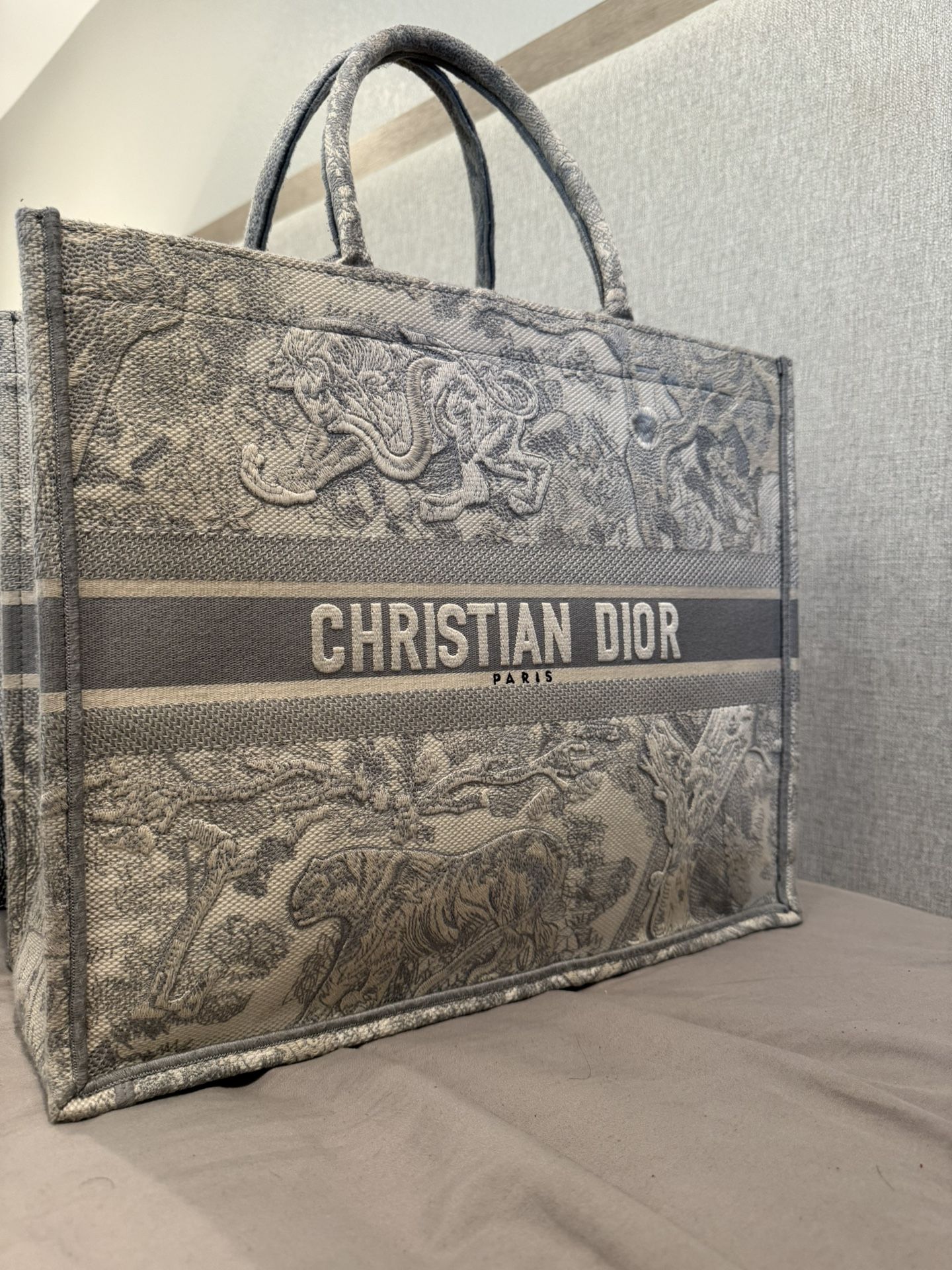 Large Dior Book Tote