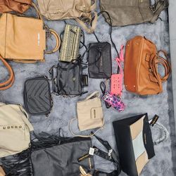 Purses & Wallets Bundle