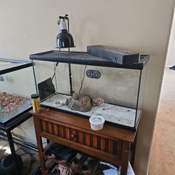 Reptile Tank 20 Gallon 