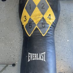 Punching/Kick Boxing bag