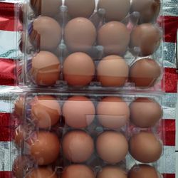 brown eggs