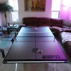 ESPN Ping Pong Table 