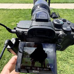 Photographer/ Videographer 