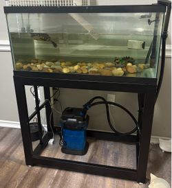 40 Gallon tank with stand