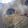 Kathy