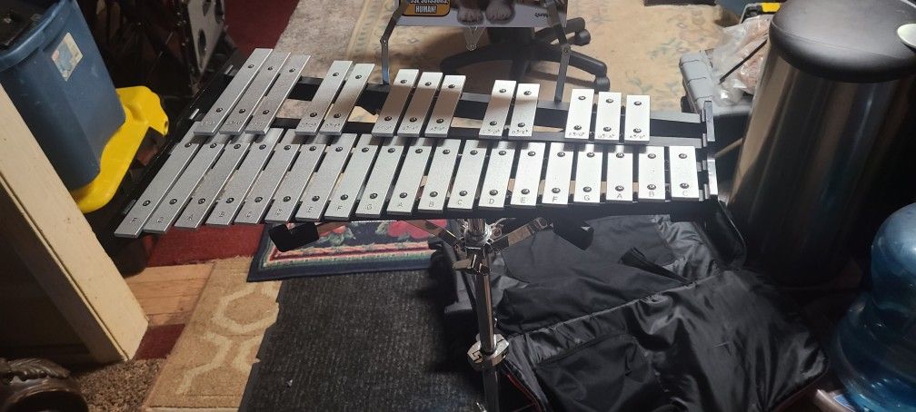 XYLOPHONE