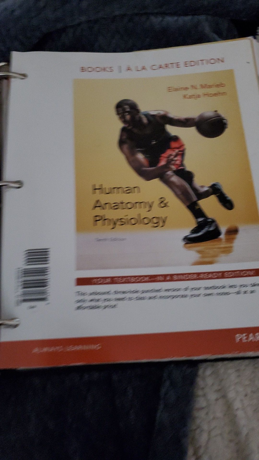 Anatomy and physiology book