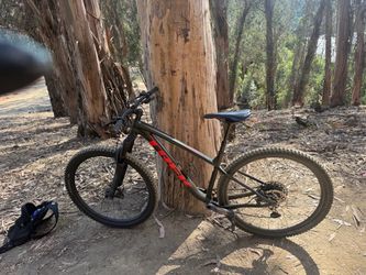 Trek Roscoe 8