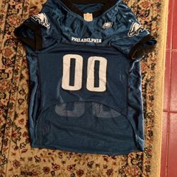 Dog eagles jersey