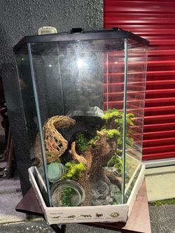 Tropical Reptile Vertical Hexagon Terrarium - 20 Gallon
