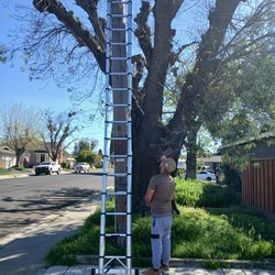 Heavy Duty Collapsible Ladder