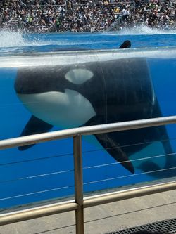 Sea world e-tickets