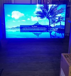 55” LG TV (working but with blue tint)