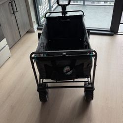 Costco Wagon +free Mattress 