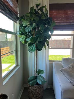 Indoor faux tree