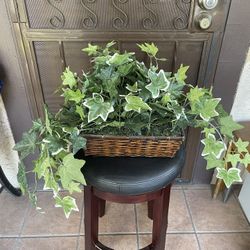 Fake Plant