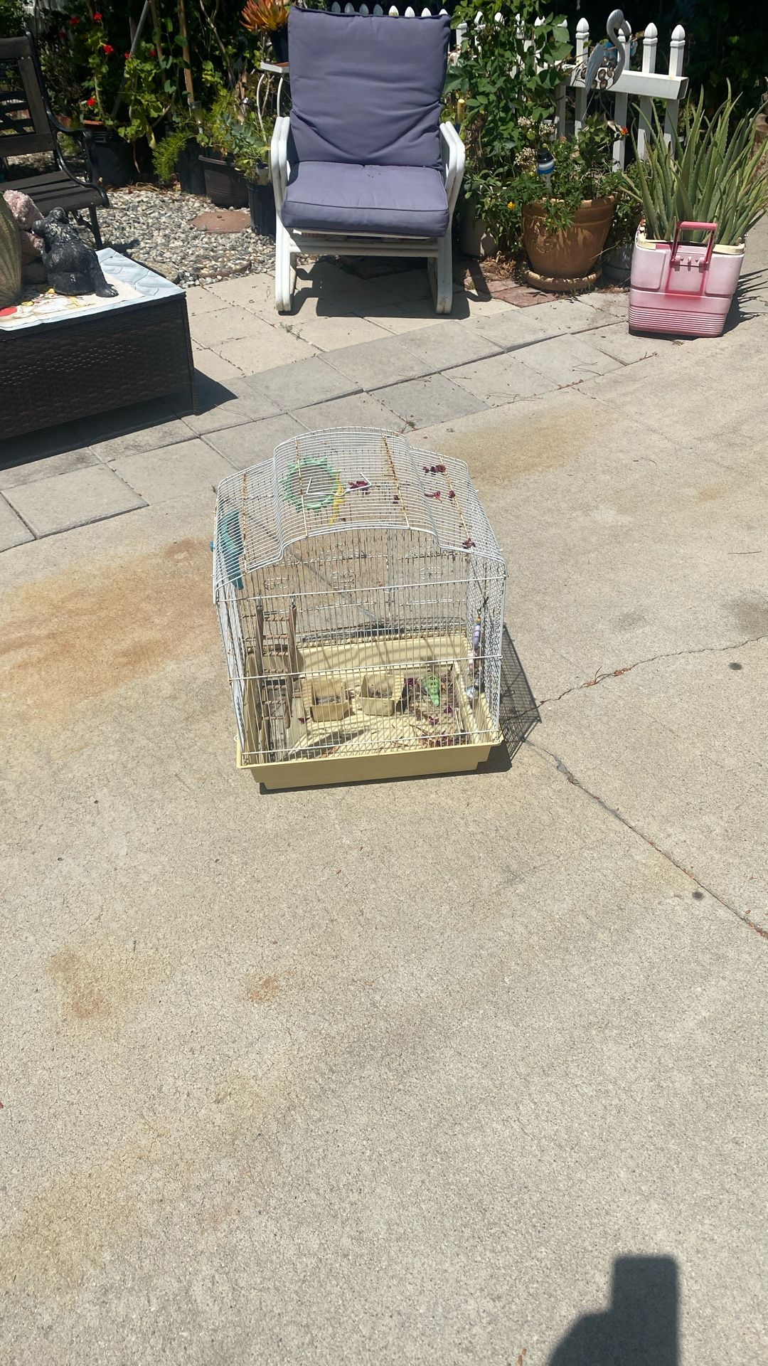 Bird Cage 
