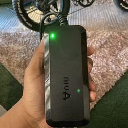 NIU kqi2 pro charger 