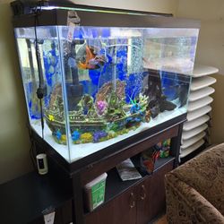 Fish Tank
