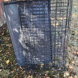 Animal Kennel