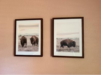🦬 Matching Framed Buffalo Wall Art (Set of 2) – Rustic/Farmhouse Decor