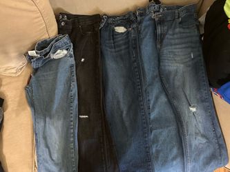 14-16 husky pants& shorts