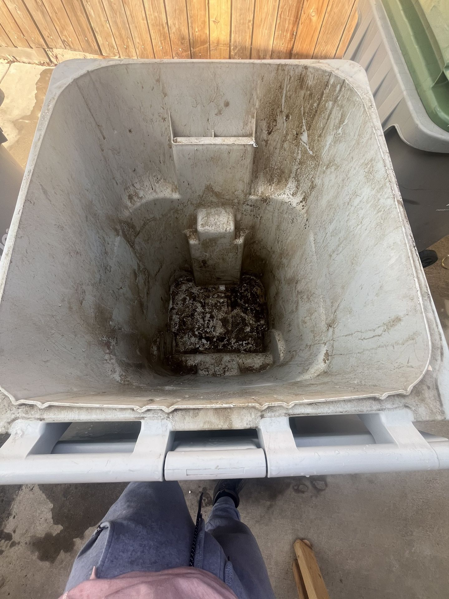 Garbage Bin Cleaning