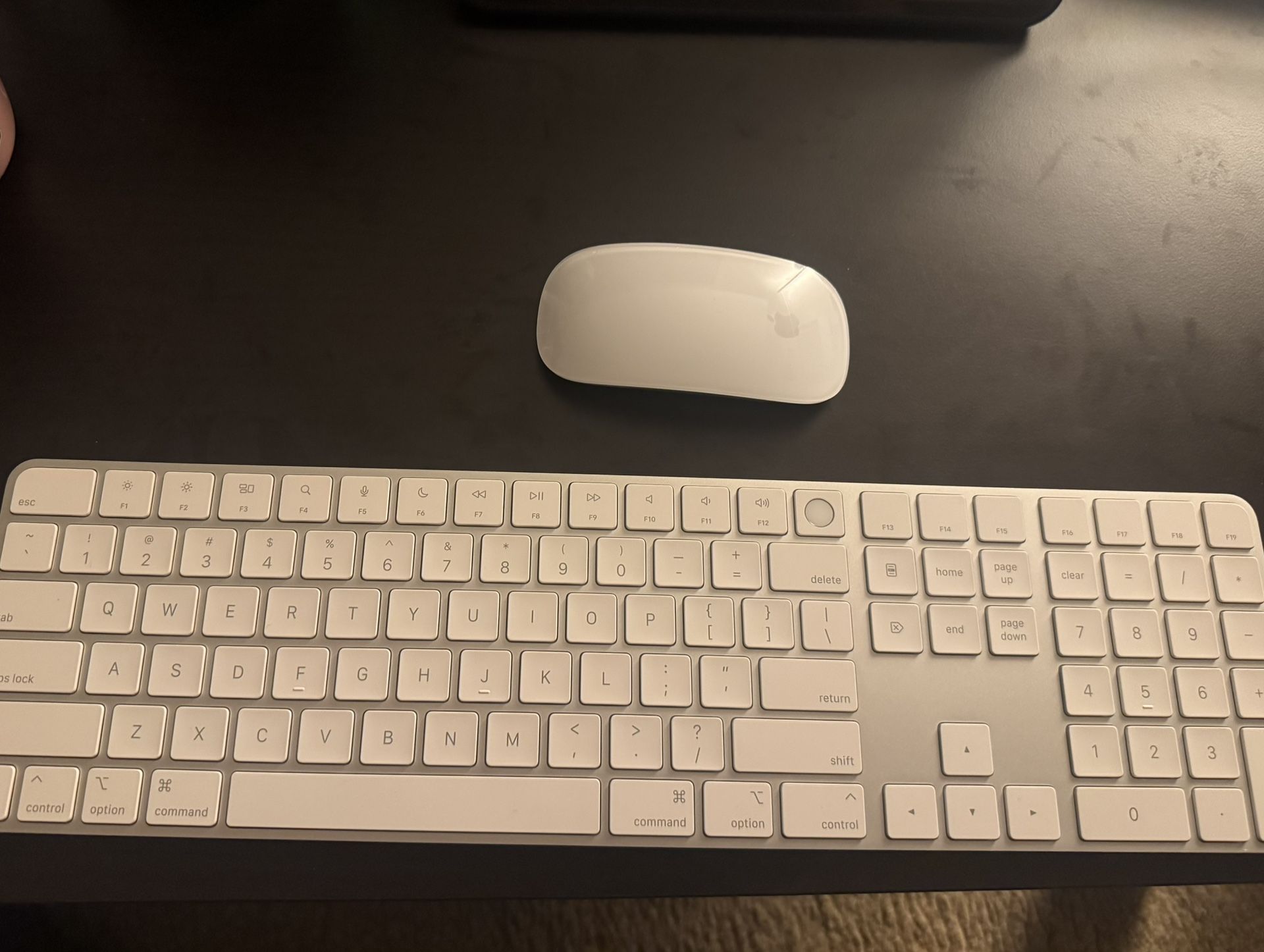 Apple Magic Keyboard and Mouse