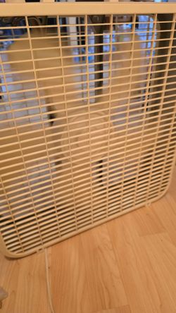 Box Fan