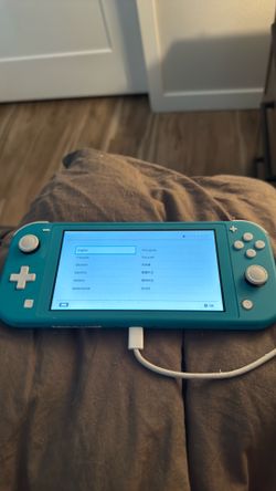 Nintendo Elite Turquoise.