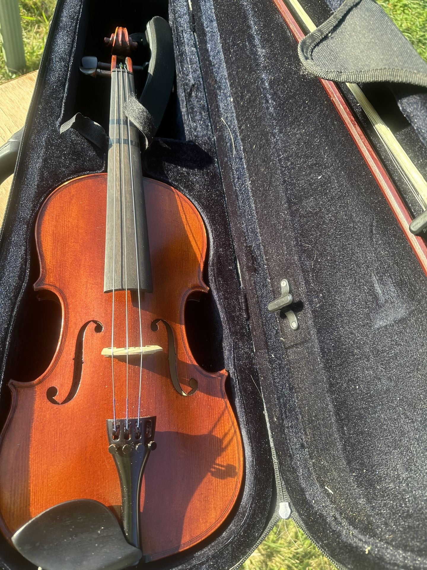 Violin