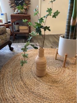 Pottery Vase comes with Plant