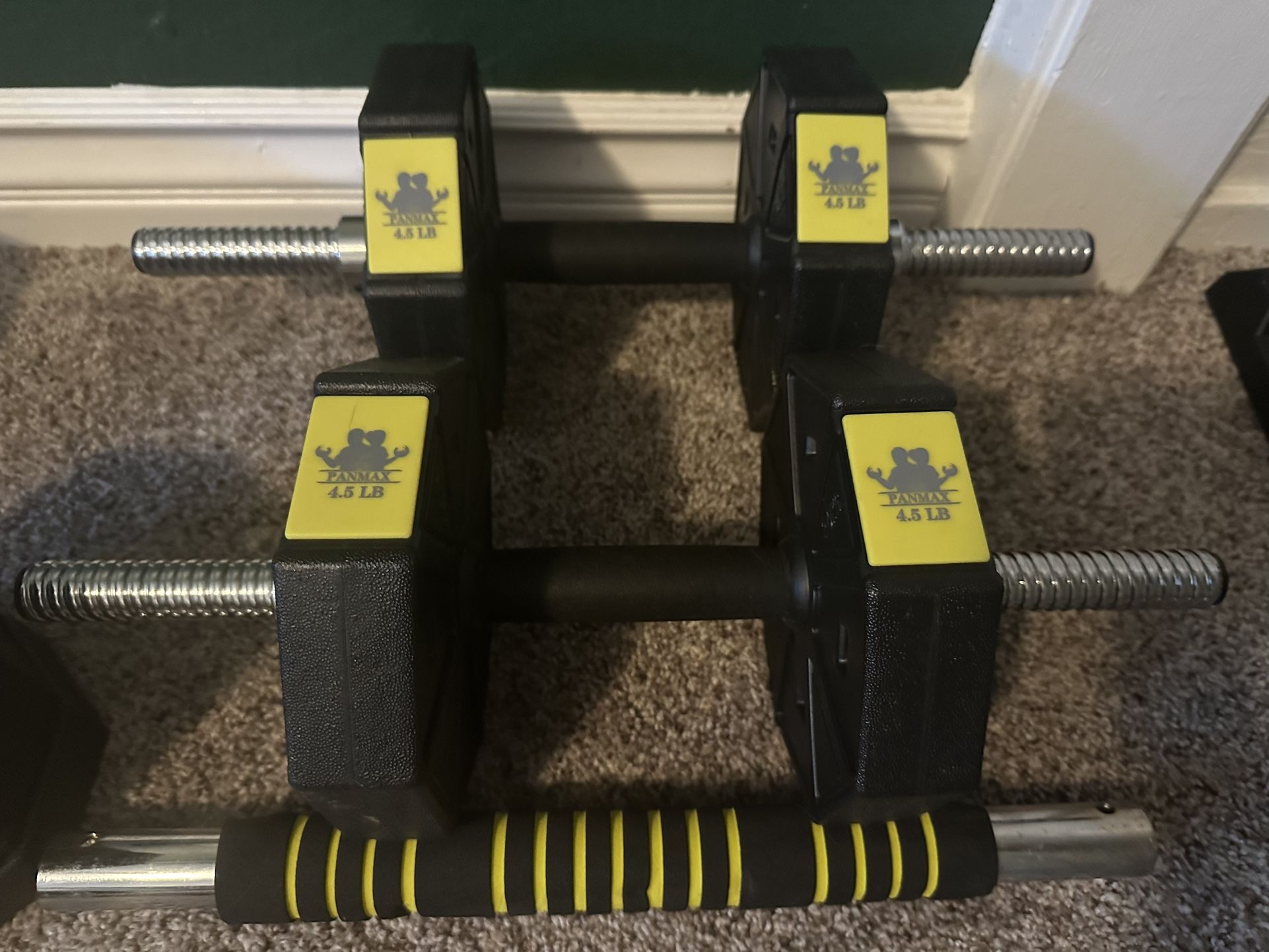 PANMAX Adjustable Dumbbell Set
