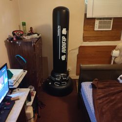 Punching Bag 
