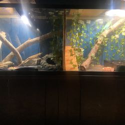 Everything Inside For Sale Comes With Lamps And Decoration