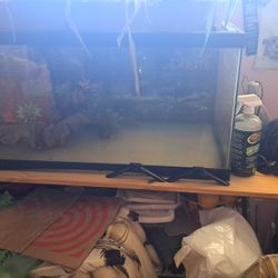 Reptile/Plant Terrarium 