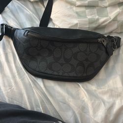 Coach Side Bag