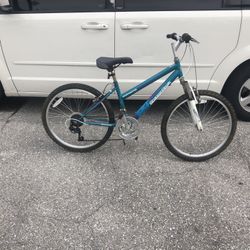 Mountain bike