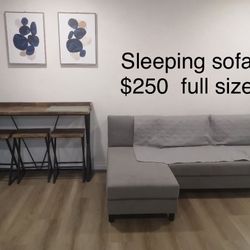 Sleeping Sofa Discount $150