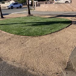 Sod Installation And Sprinklers System Installation 