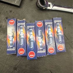 NGK SPARK PLUGS BRAND NEW