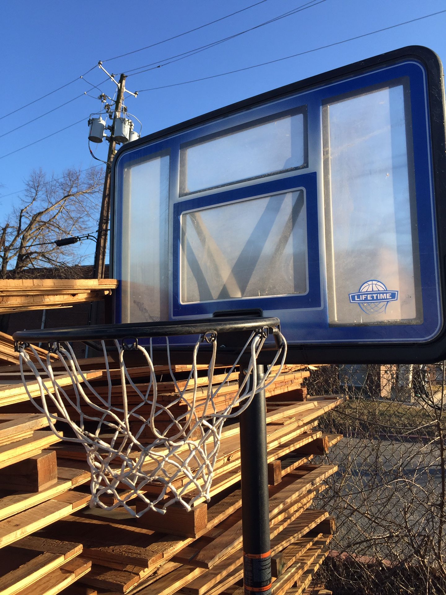 LifeTime Basketball Hoop